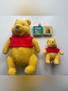 🍯 Winnie the Pooh Bundle - Plush, Books & Peek a Pooh Keychain